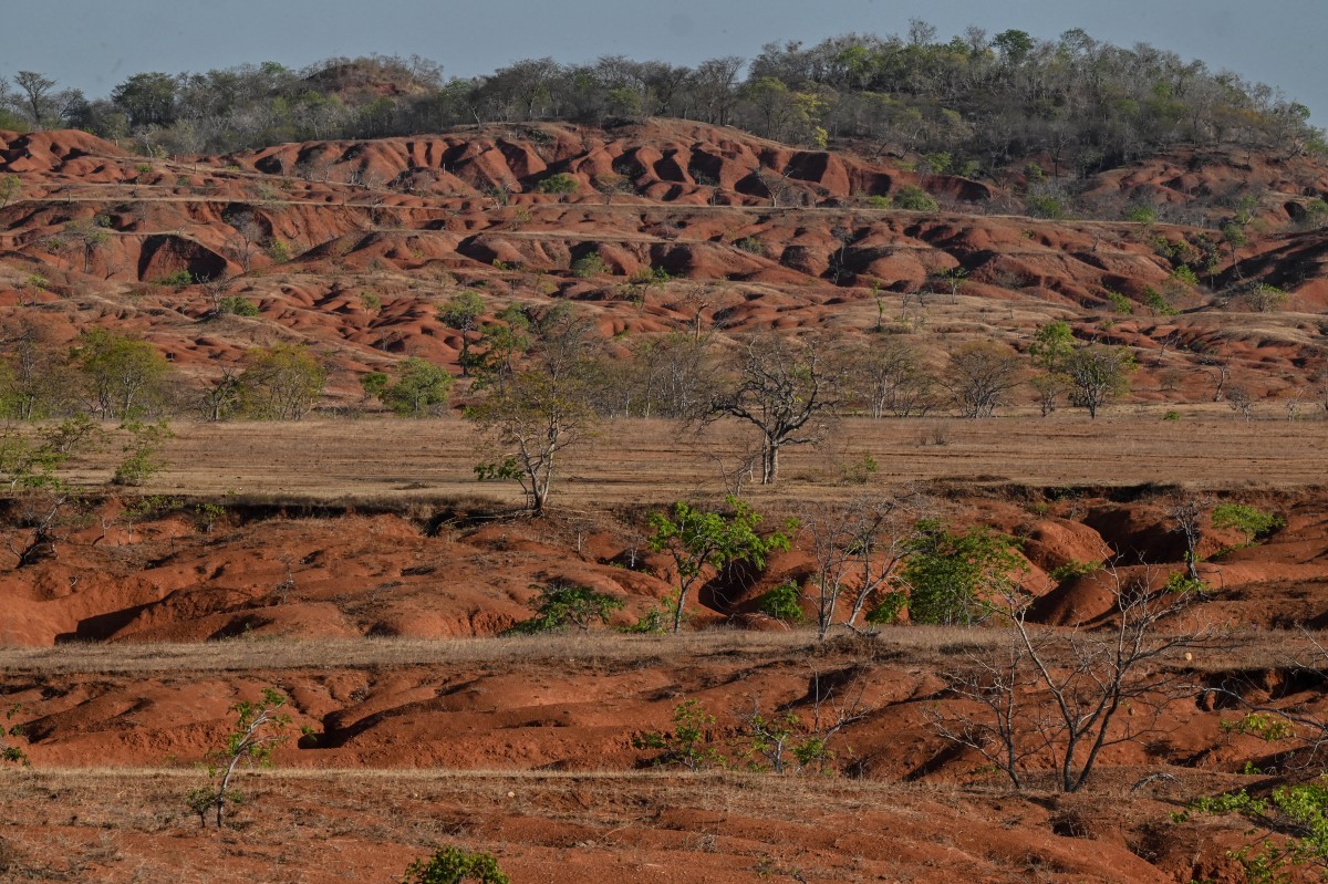 Agricultores brasileños resisten a la desertificación de sus tierras