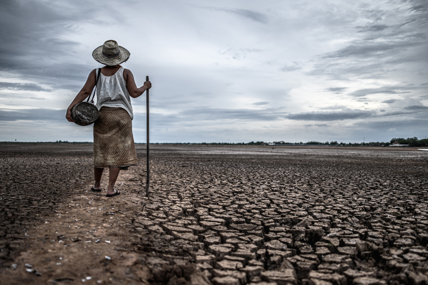 Agricultores en Irak se enfrentan a restricciones de agua debido a sequía