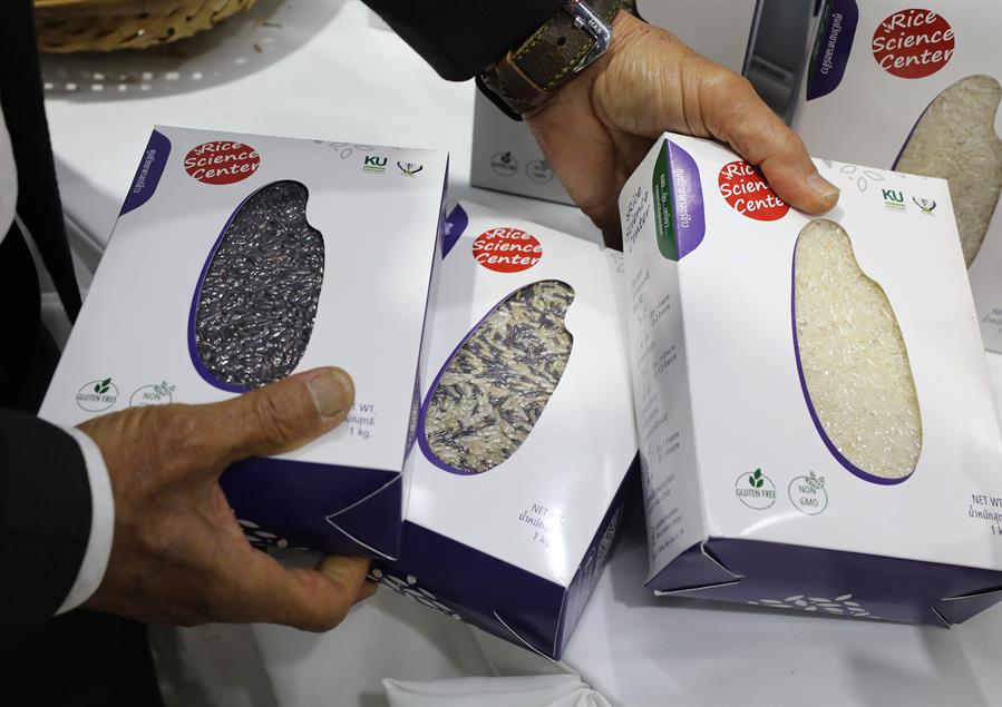 España y Tailandia buscan arroz apto para diabéticos y con resistencia climática