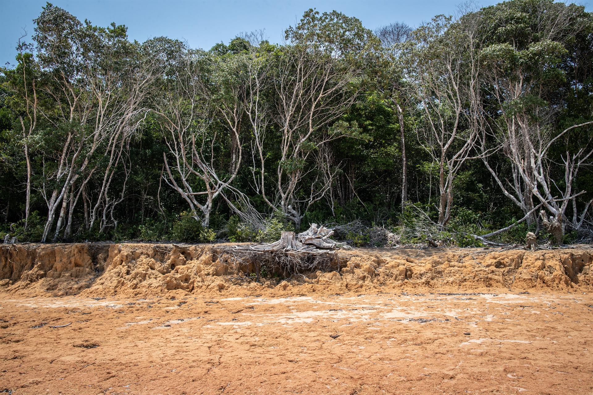 La Amazonía brasileña enfrenta una sequía histórica