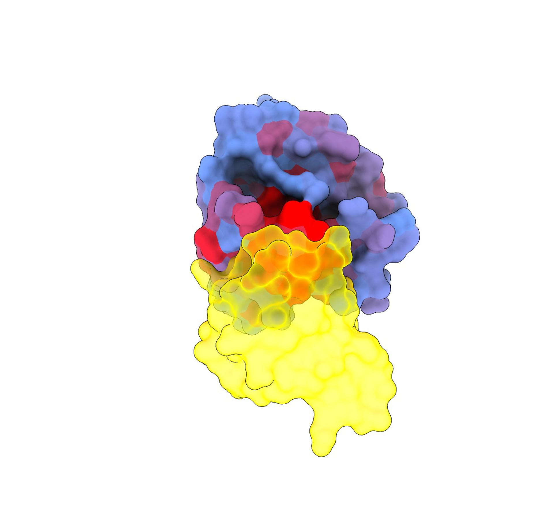 Revelan vulnerabilidades de uno de los genes que más frecuentemente muta en cánceres