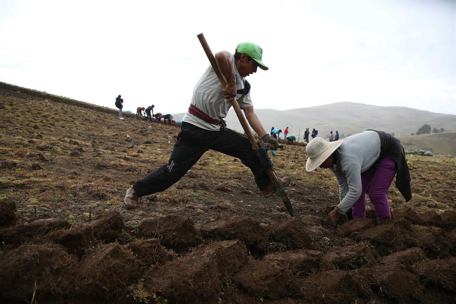 Perú alcanza zonas de agrobiodiversidad