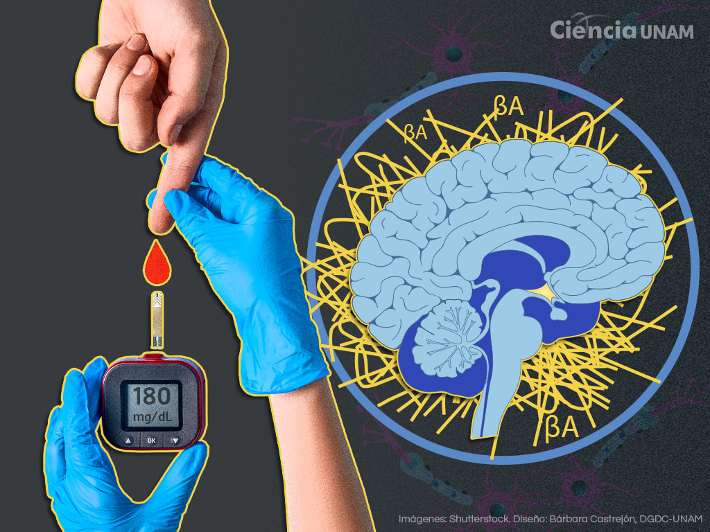 ¿Qué sabes de la Diabetes tipo 3?