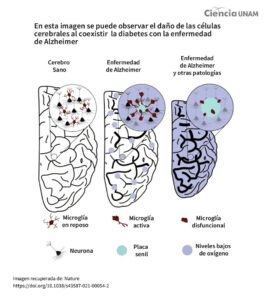 ar_diabetes_tipo3_02_20102023