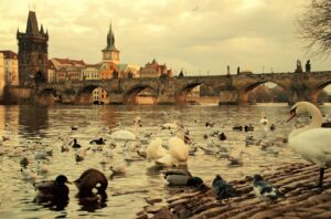 prague-5958547_1280