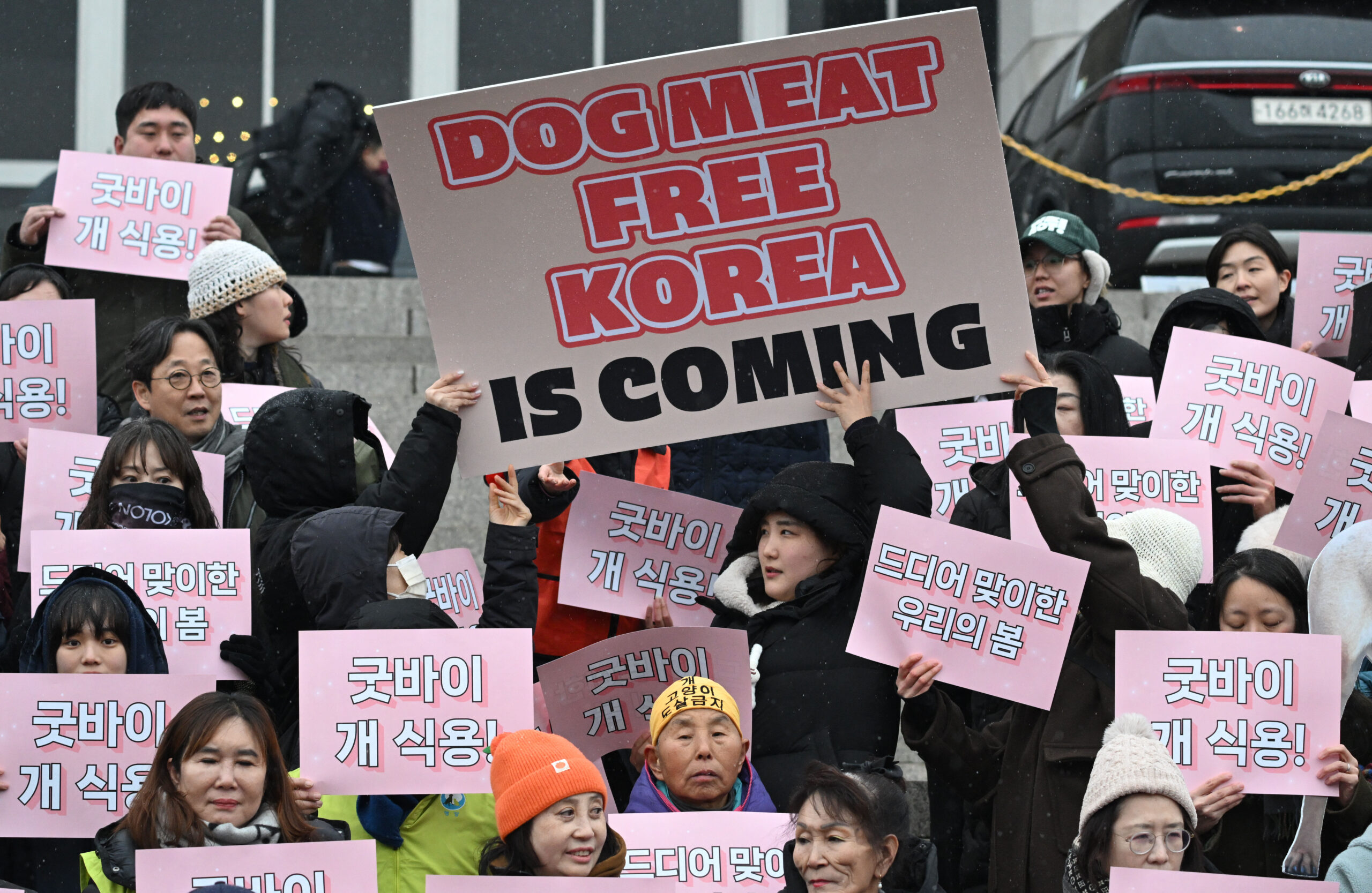 Parlamento de Corea del Sur prohíbe el comercio de carne de perro