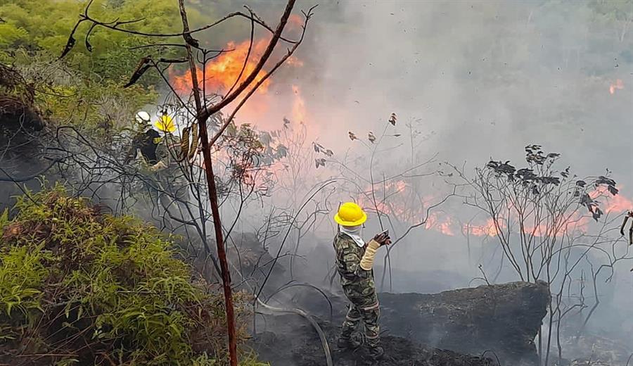 Incendios forestales arrasan más de 300 hectáreas en departamento colombiano de Santander