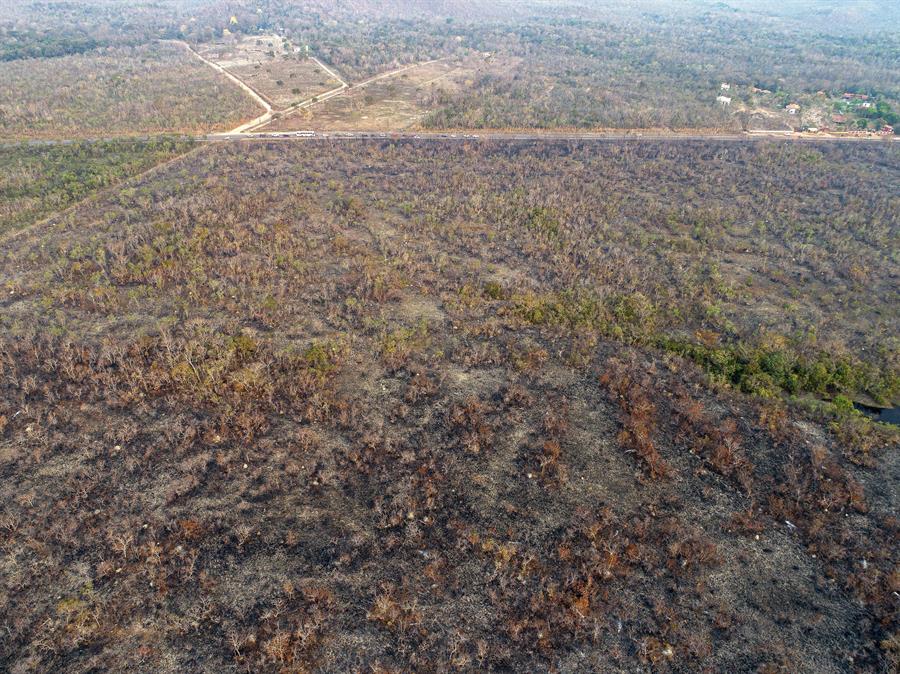 Greenpeace denuncia un aumento de deforestación en el norte de Argentina en 2023