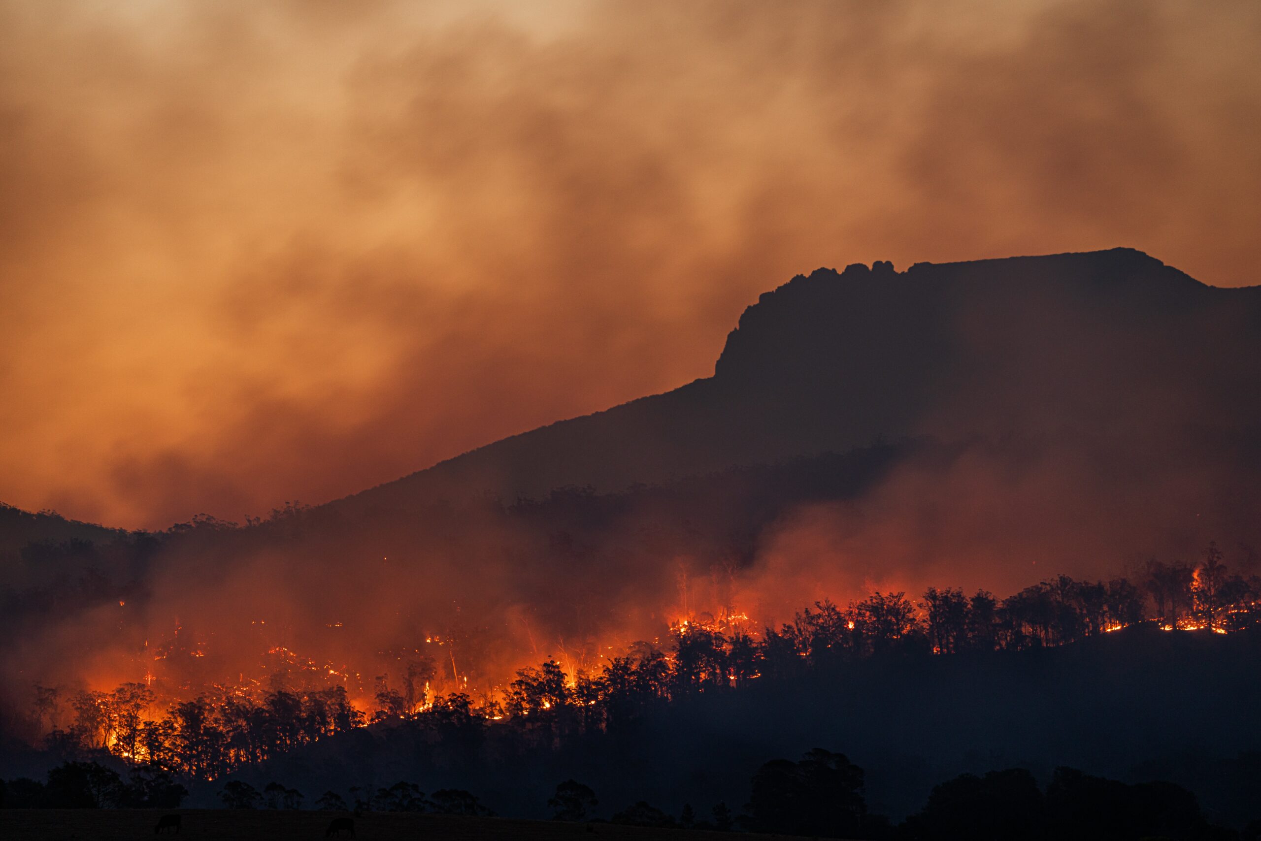 2023 fue el año más caliente, con impacto particular en América Latina