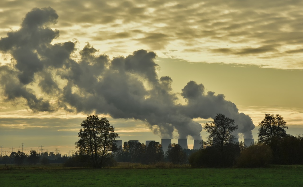 Eficiencia y sector privado, la receta ganadora para el clima, según Banco Mundial