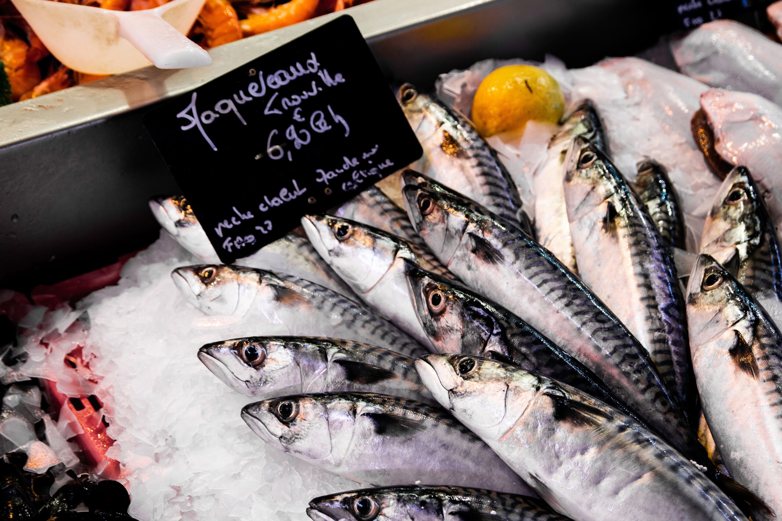 ¿Comemos el plástico que comen los peces? Sí, y también sus contaminantes