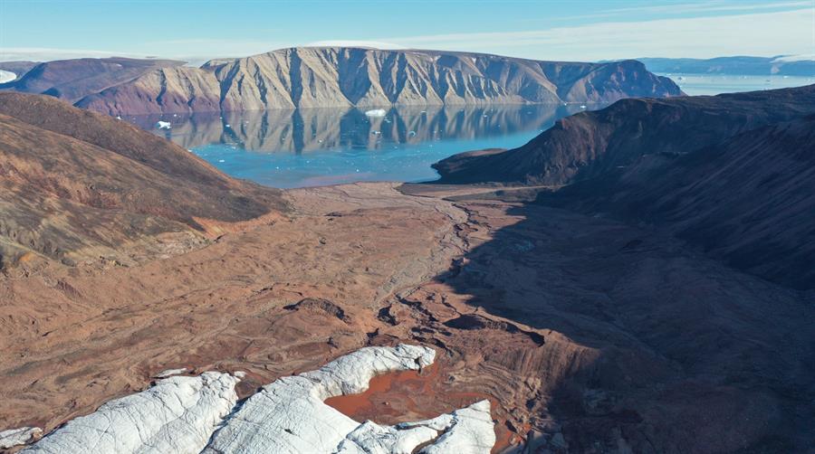 Las plantas empiezan a sustituir al hielo en Groenlandia