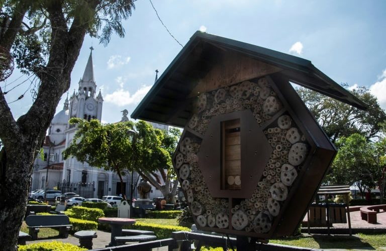 En Costa Rica instalan un hotel de abejas para fomentar su reproducción