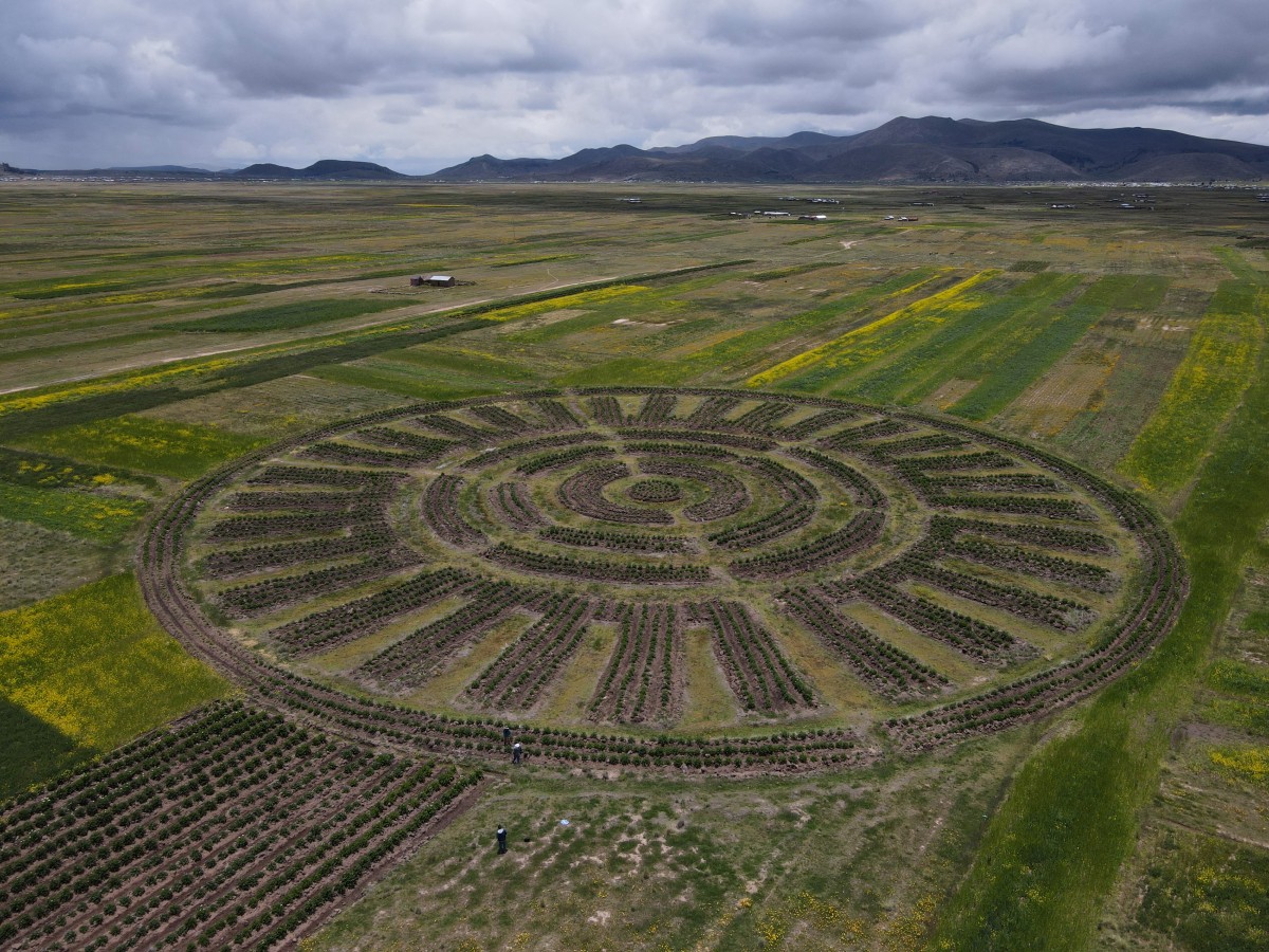 Waru Waru, una técnica agrícola andina contra la crisis climática