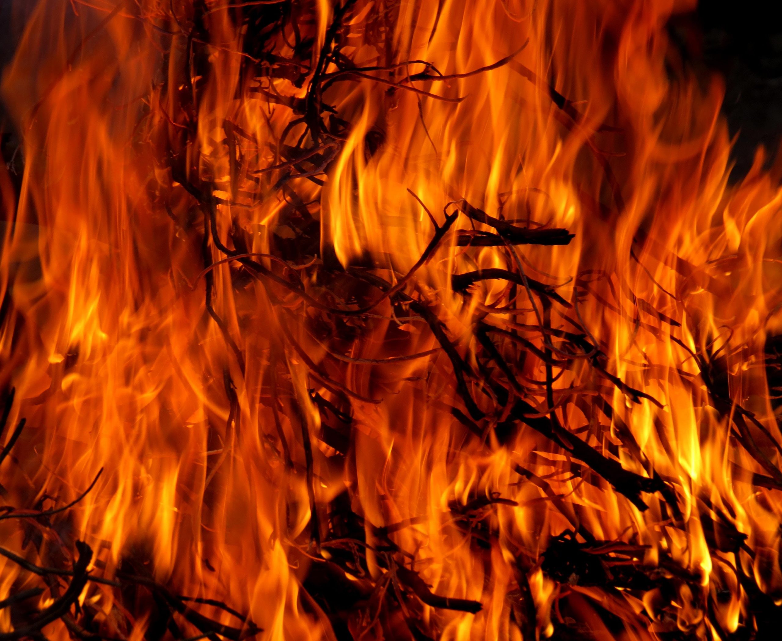 Fuego arrasa más de 3.000 hectáreas de bosque nativo en Patagonia argentina