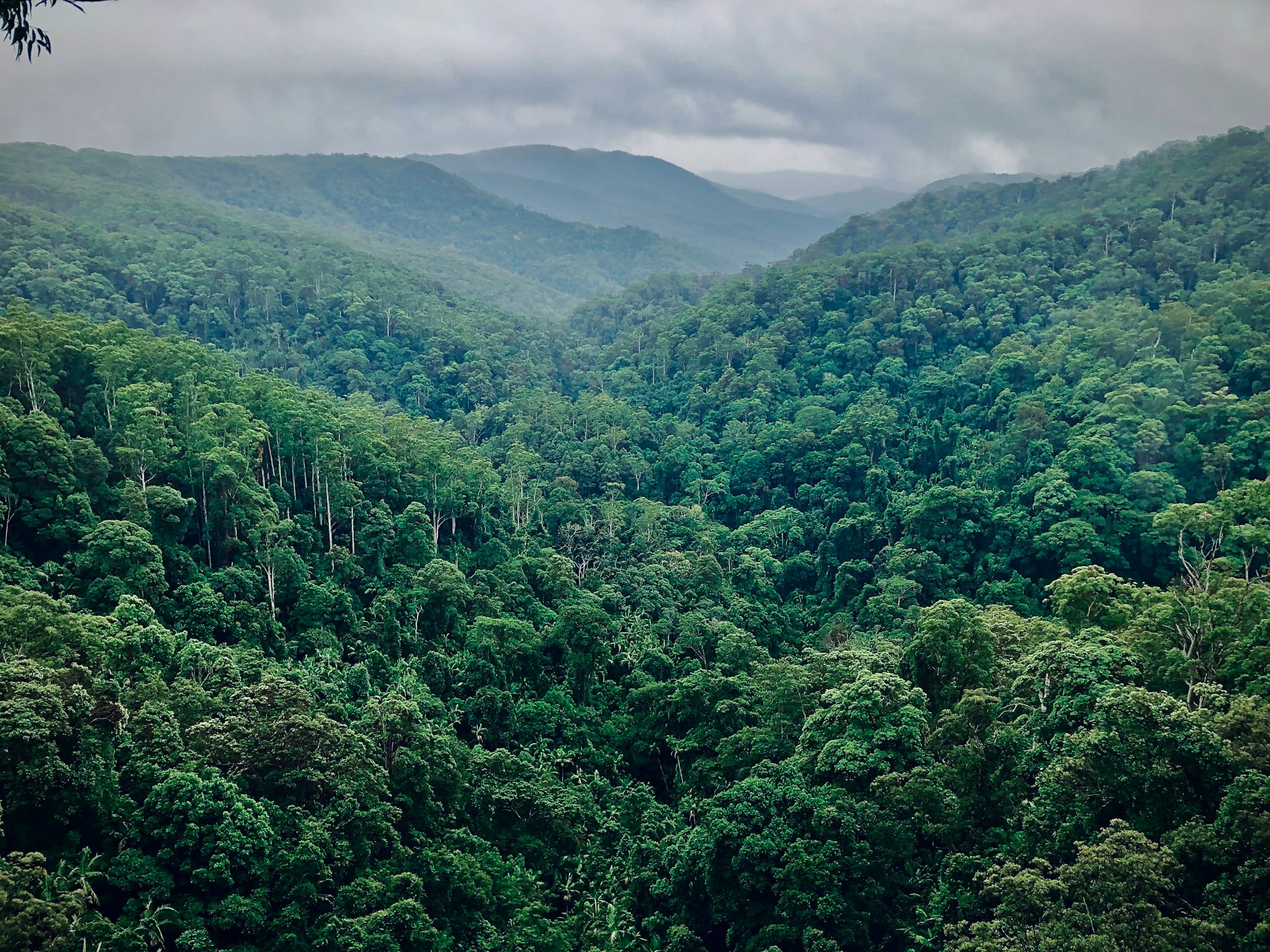 La autogobernanza de los indígenas de la Amazonia, un antídoto contra el cambio climático