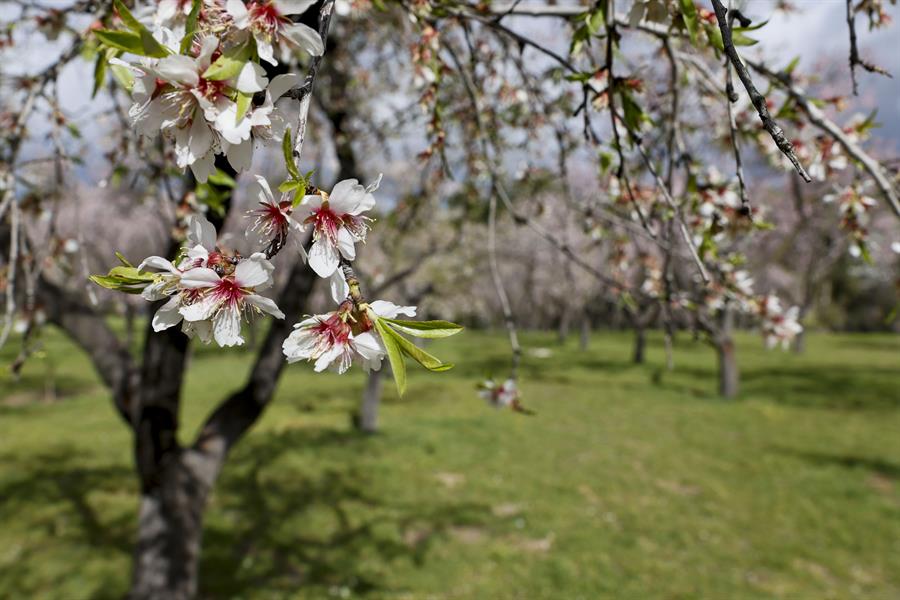 La OMM confirma que febrero fue un mes de calor excesivo en los hemisferios norte y sur