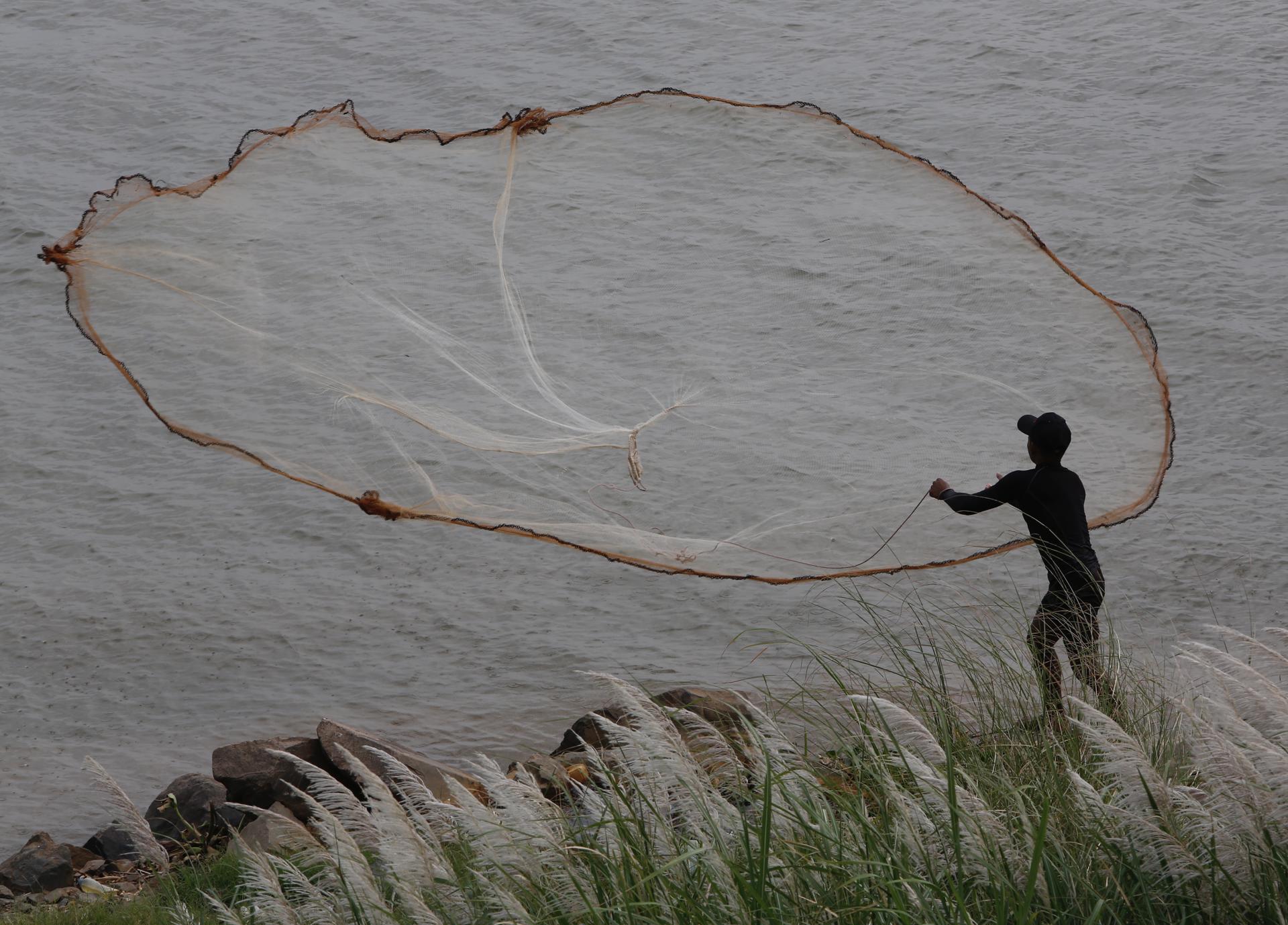 Uno de cada cinco peces del río Mekong corren peligro de extinción