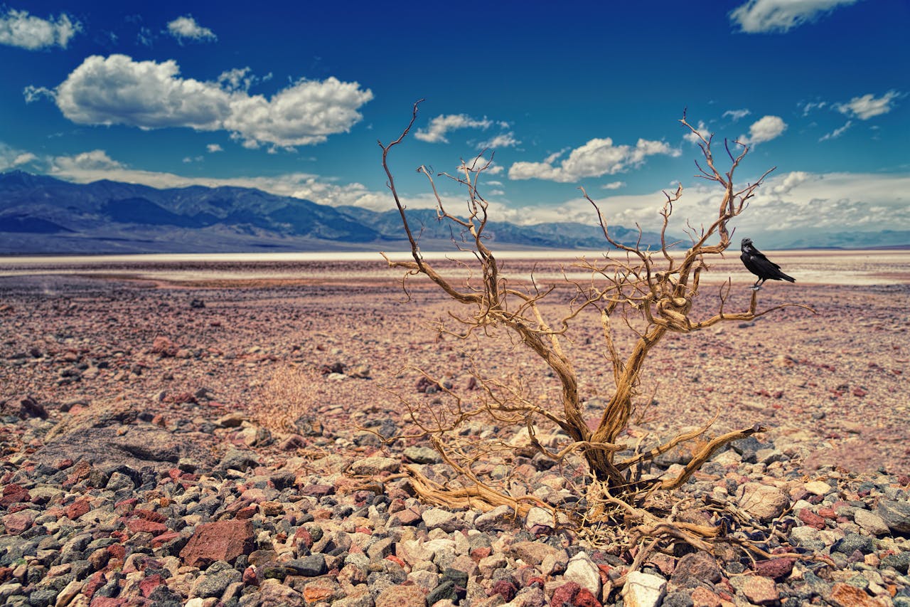 Chile, la lucha en el país más afectado de Latinoamérica por la extrema escasez de agua