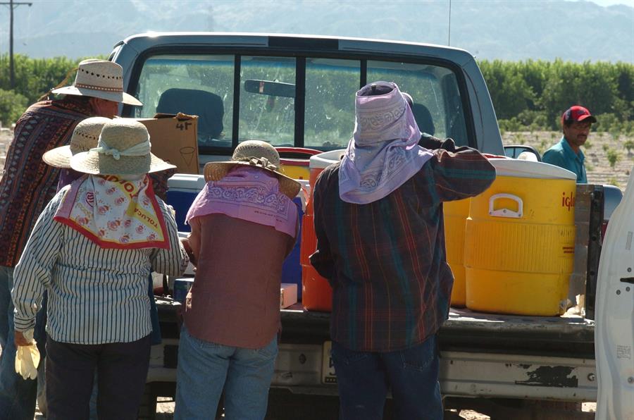 La salud del 71 % de los trabajadores activos del mundo está en riesgo por el cambio climático