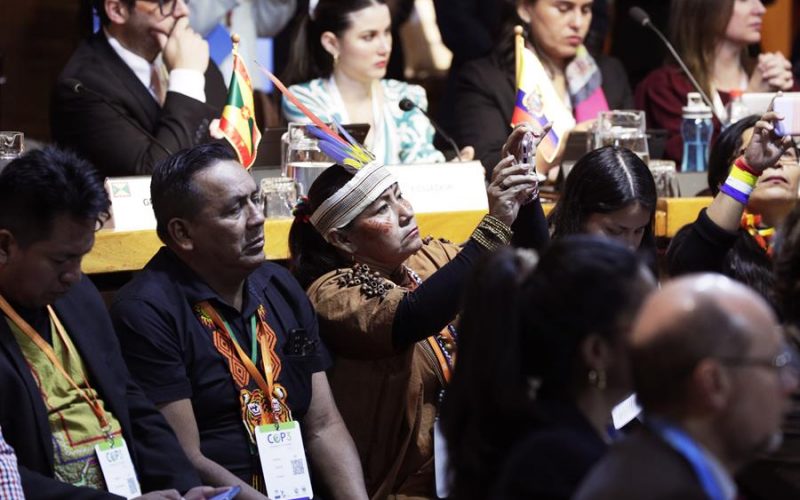 Pueblos indígenas latinoamericanos piden representar y “defender en vida” sus territorios