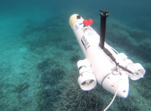 Robots-e-inteligencia-artificial-protegen-y-vigilan-la-vida-submarina