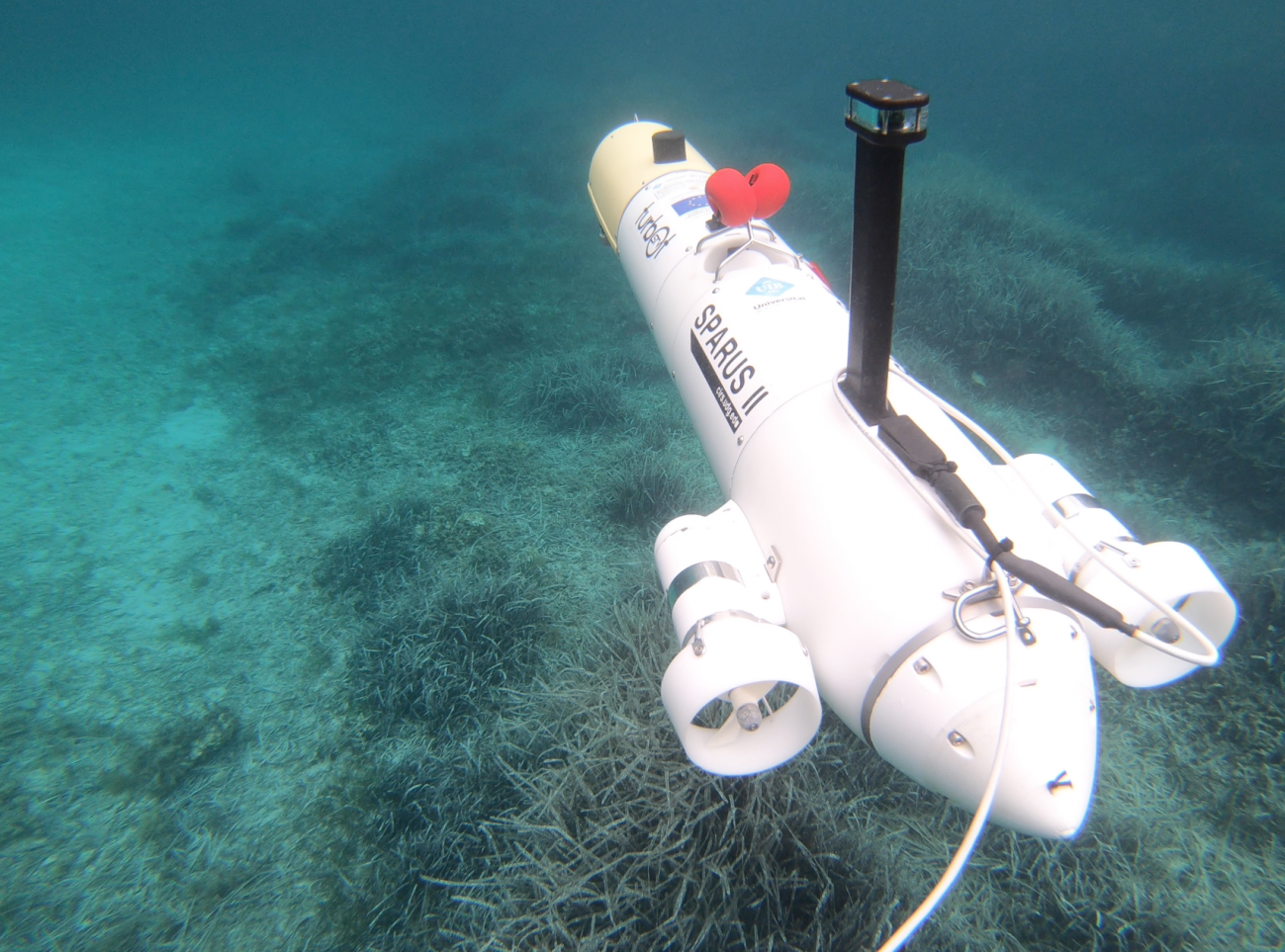 Robots e inteligencia artificial protegen y vigilan la vida submarina