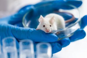Un-micromaterial-libera-nanoparticulas-que-destruyen-selectivamente-celulas-cancerosas