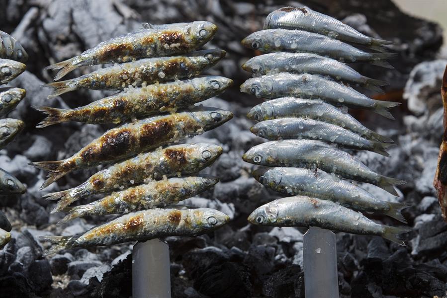 Comer más sardinas y menos carne roja podría salvar hasta 750.000 vidas en 2050