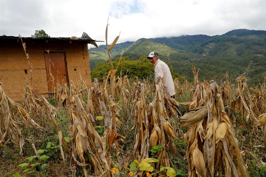 Colombia ingresa en la lista de países con inseguridad alimentaria aguda, según la ONU