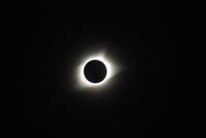 pexels-elizabeth-olson-9896216