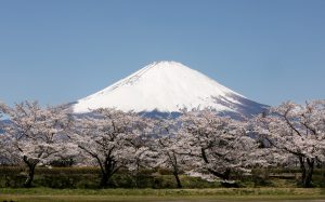 JAPÓN MONTE FUJI