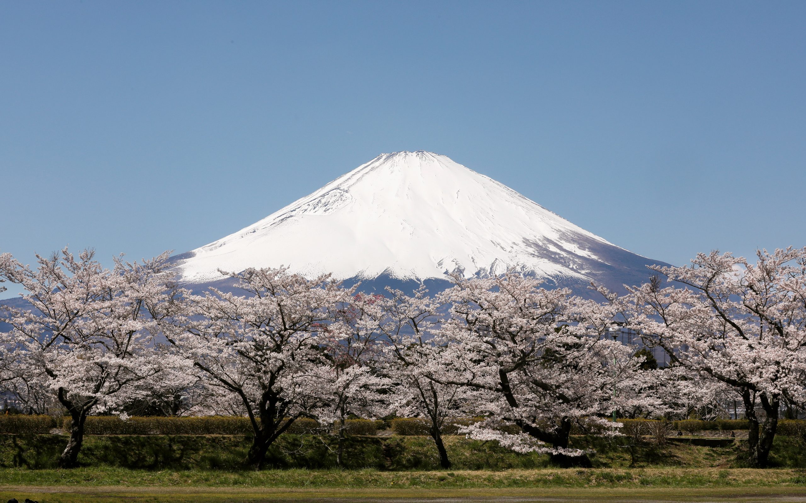 Japón introduce un sistema de reservas en línea para visitar el monte Fuji