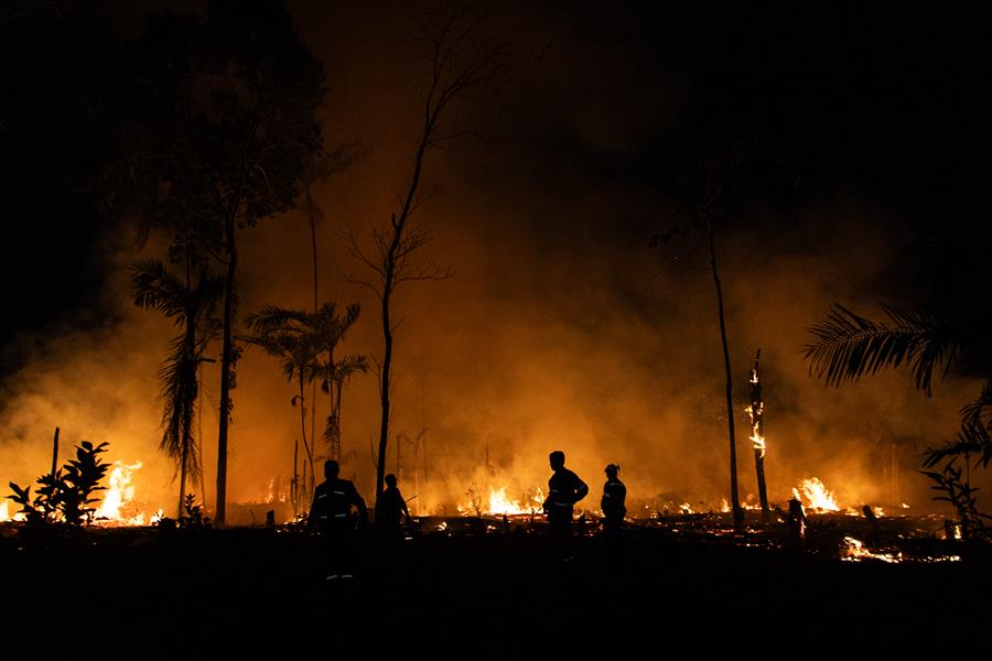 La Amazonía brasileña registra 8.977 incendios en el primer cuatrimestre