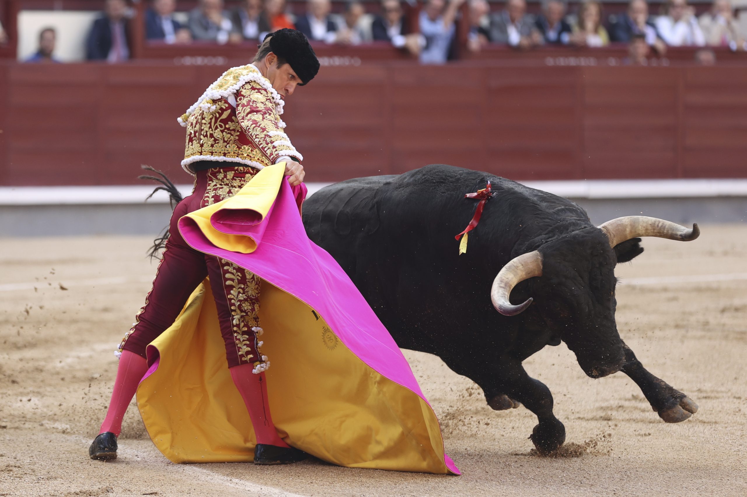 Gobierno de España suprime el Premio Nacional de Tauromaquia