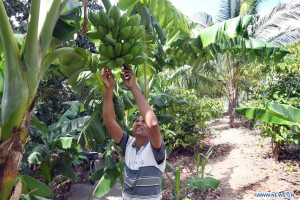 655-6-TECNOLOGÍA_Armando Rojas agroecolgía_Xinhua
