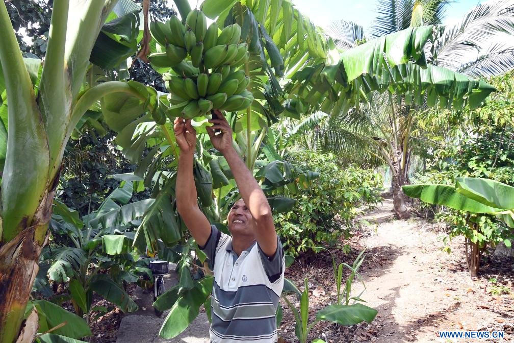 ‘El Rincón del Cristo’, una finca agroecológica en Cuba