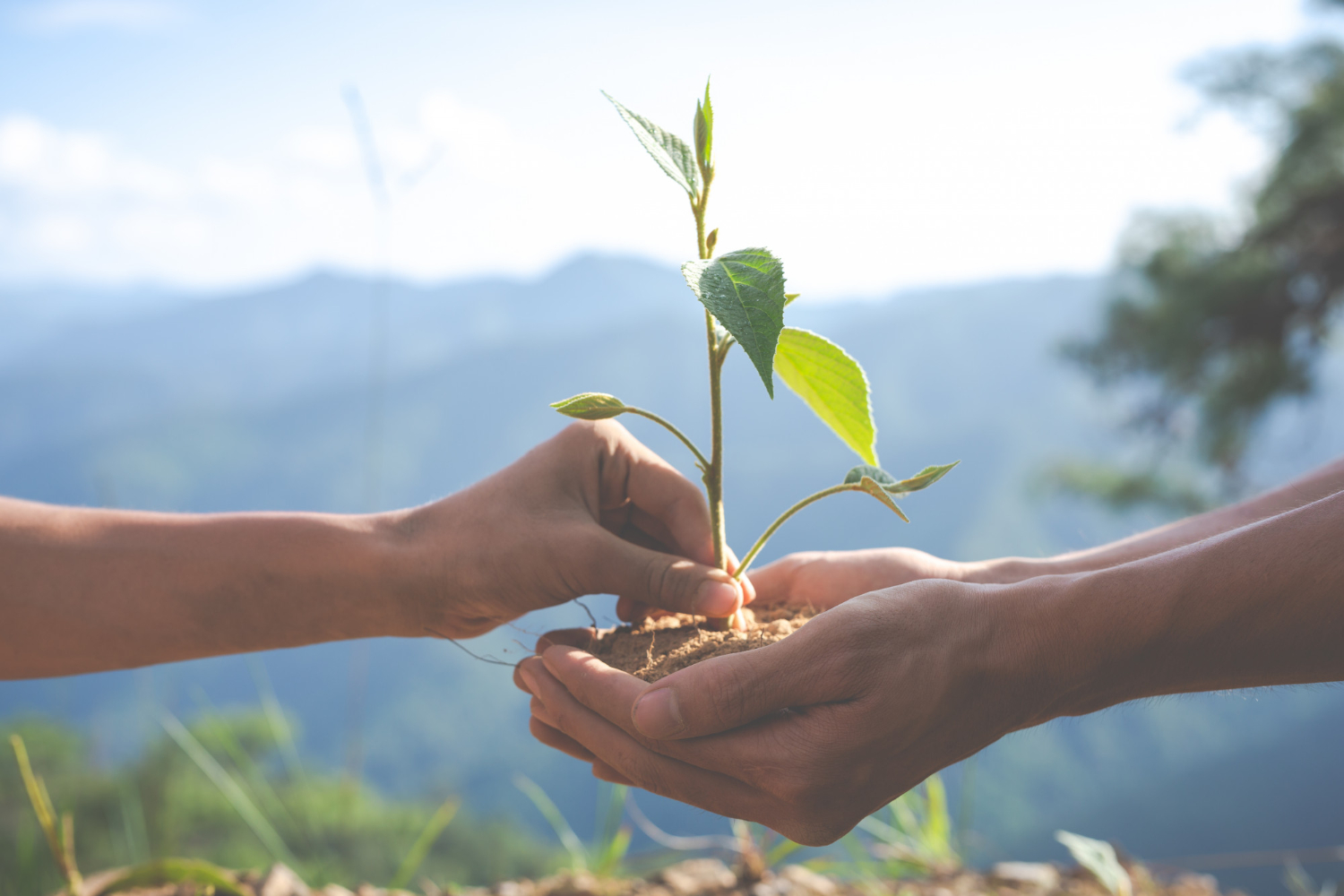 La diversidad, lección de la naturaleza para la resiliencia humana