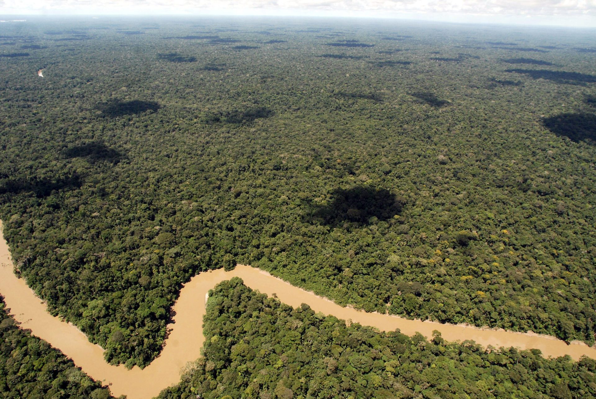 Reserva de la biósfera Yasuní tendrá financiación por 50 años