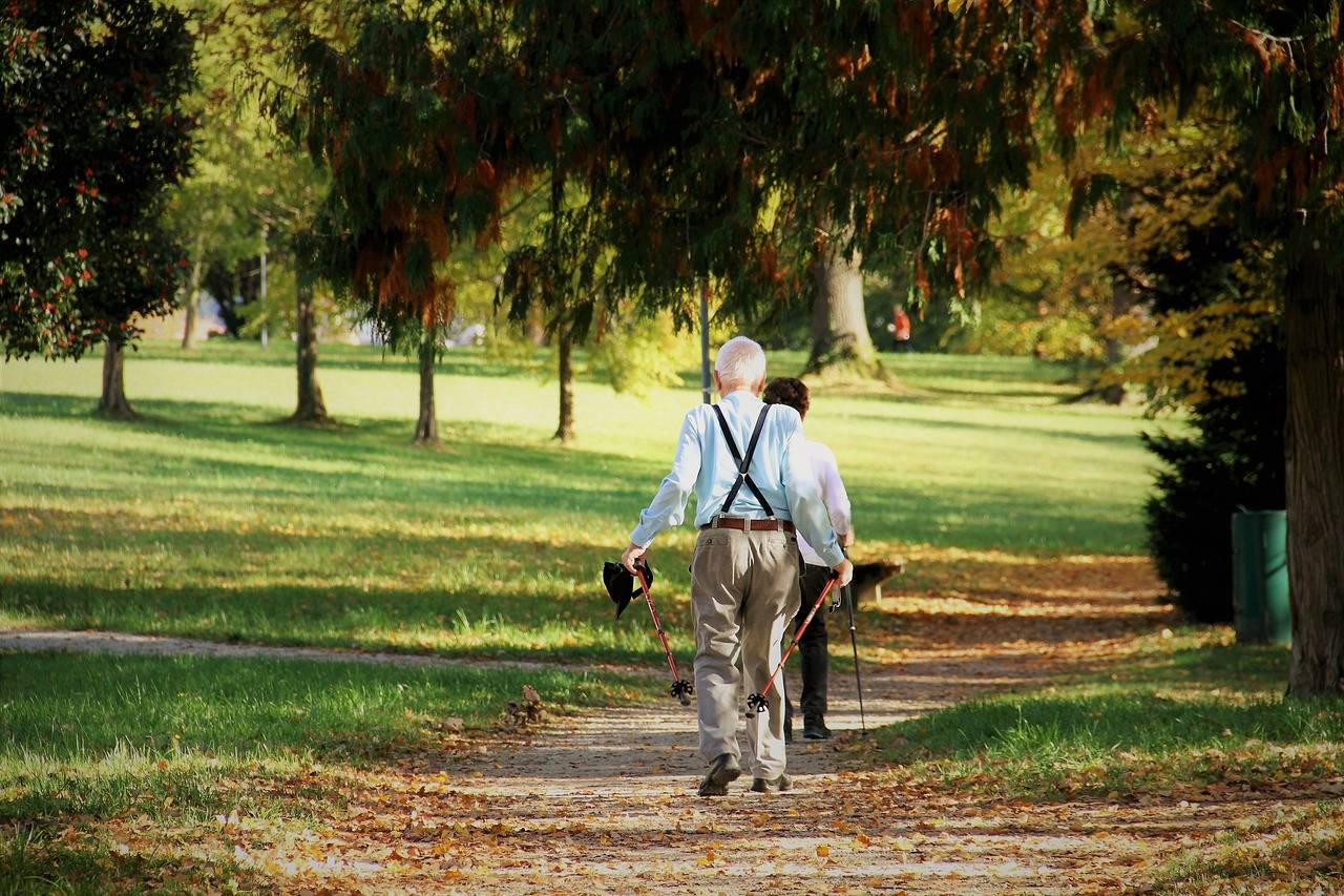 Los espacios verdes mejoran la salud cardiovascular de las personas mayores