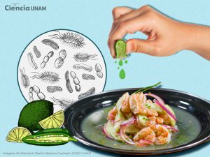 ar_ceviche_camaron_final_29022024