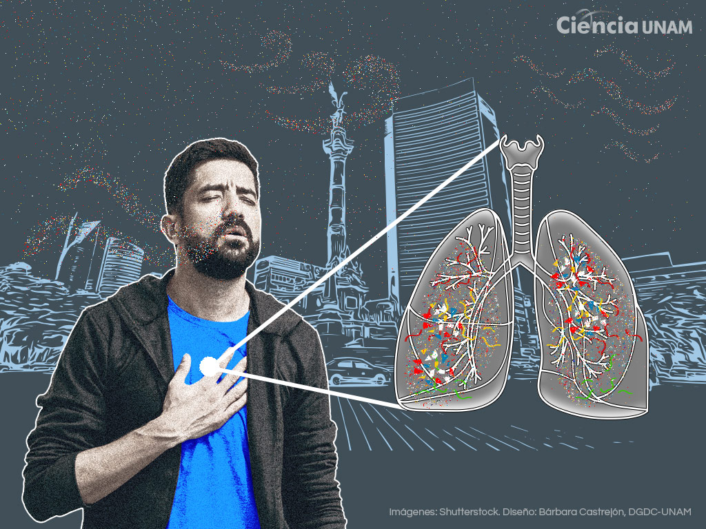 Los microplásticos logran llegar a nuestros pulmones