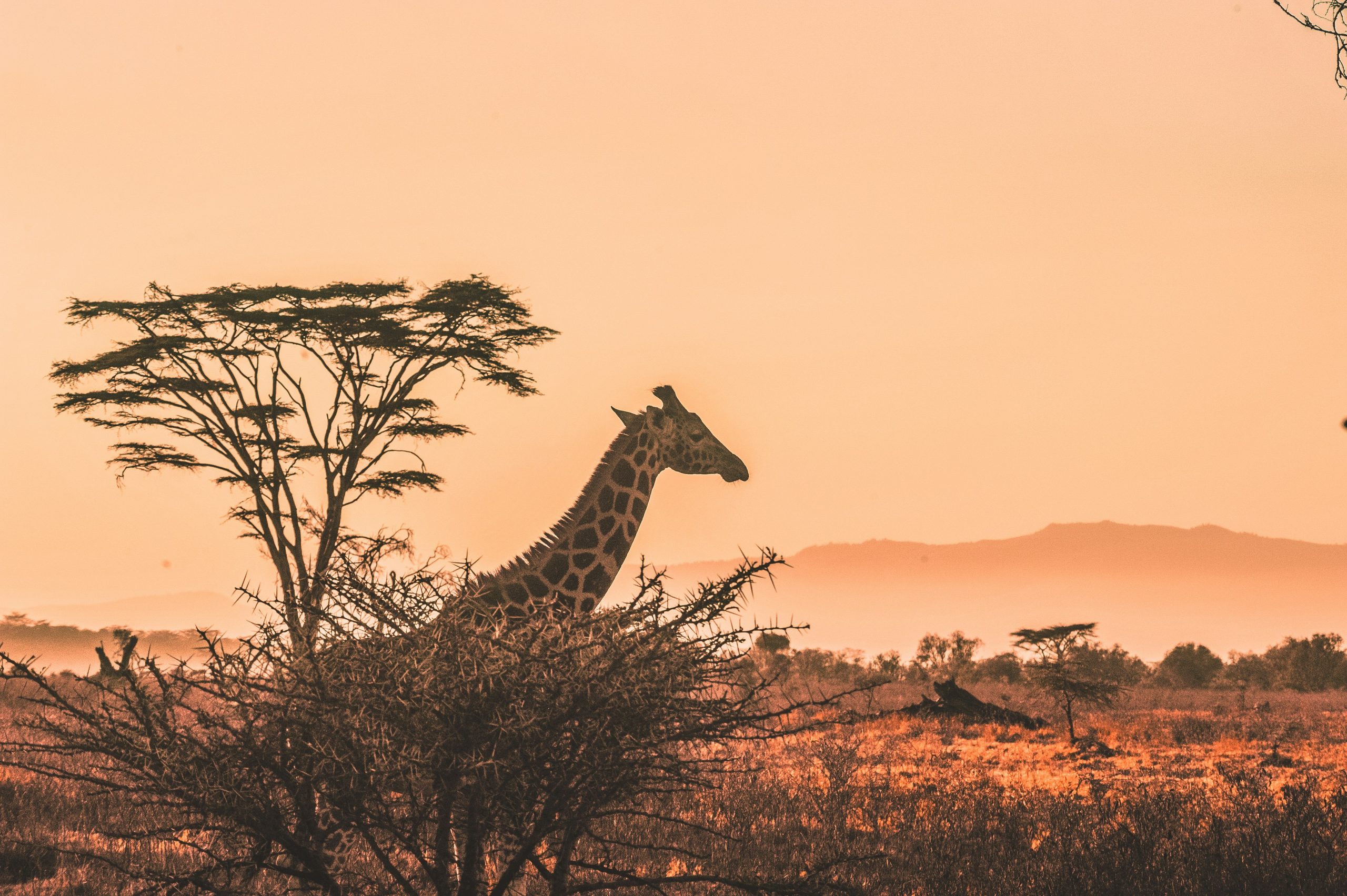 Cinco maravillas de África que pueden sorprender al mundo