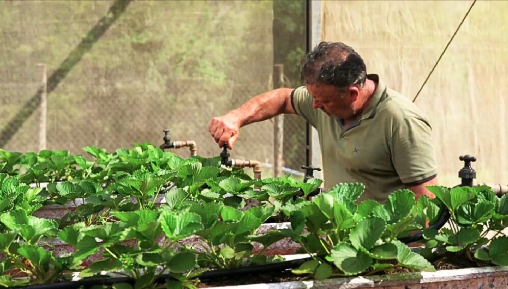 Productores se benefician de innovaciones en prácticas agrícolas