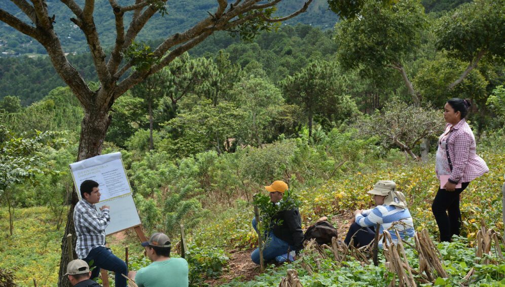 Científicos y productores rurales crean tecnologías sociales en Amazonía