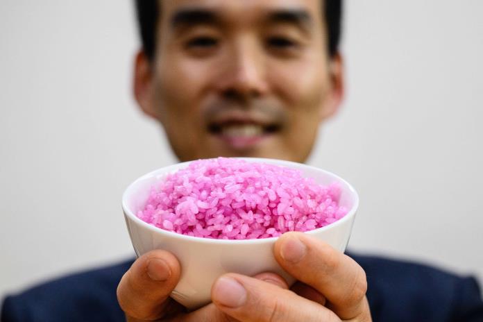 Científicos surcoreanos crean «arroz carnoso» con alto contenido de proteínas