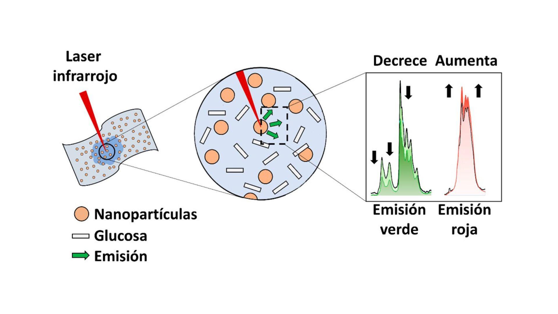 Desarrollan un nuevo método no invasivo para medir la glucosa en pacientes diabéticos