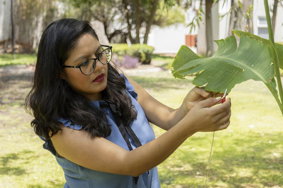 Una científica mexicana produce música generada con sonidos de las plantas