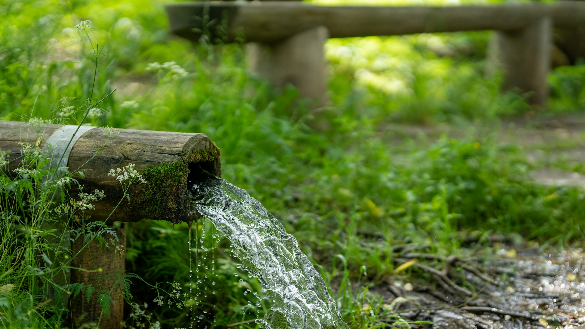 La pérdida de agua subterránea se observa desde hace 10 años en Cataluña