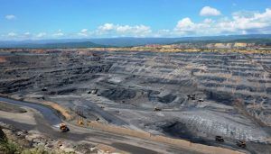 sector-financiero-biodiversidad-996×567